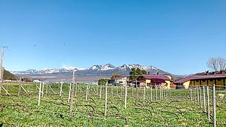 ワイナリーの宿 田舎倶楽部