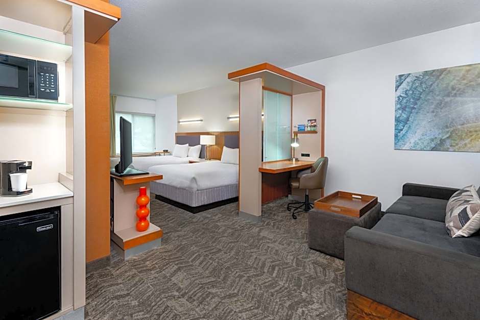 Photo 1 of 11 of Studio 1 Queen Bed with Sofabed