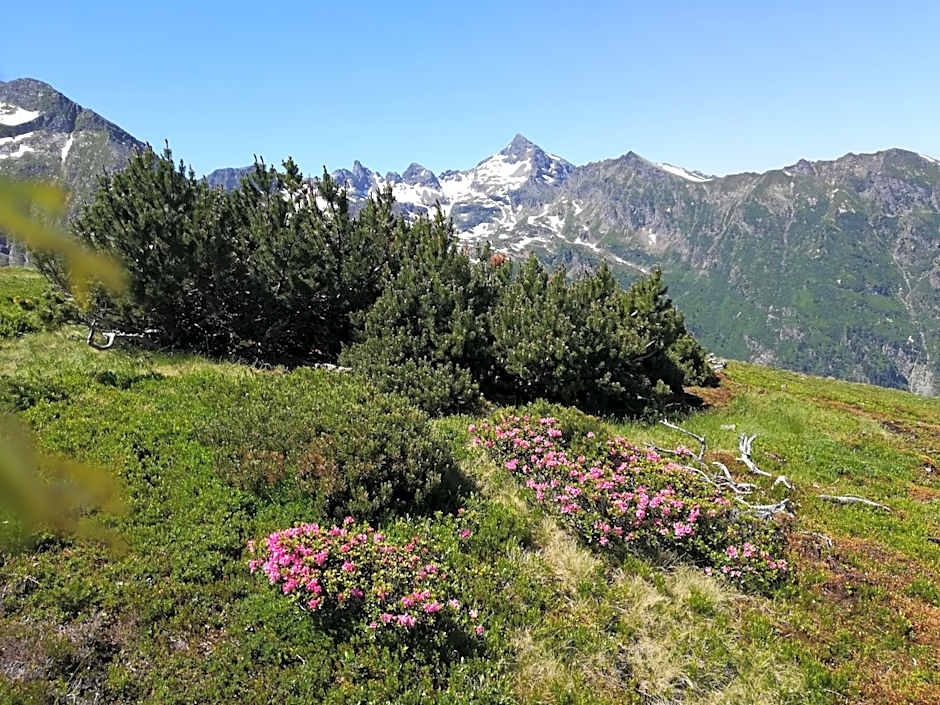 Mühlnerhof Familie Gruber