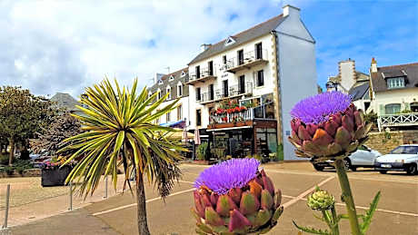 Hotel du port