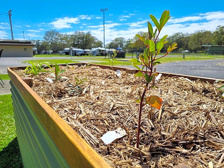 Reflections Coffs Harbour - Holiday Park