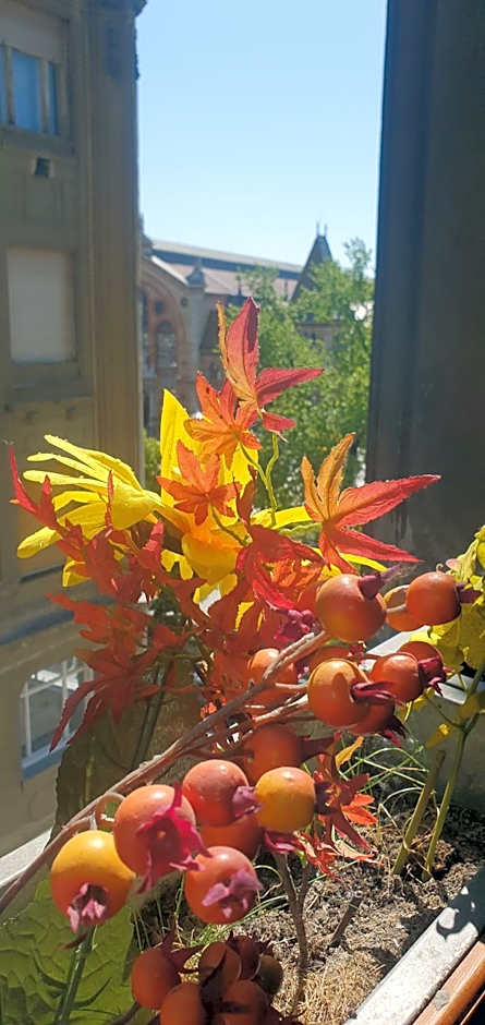 Butterfly Home Danube