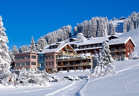Ferien- und Familienhotel Alpina Adelboden