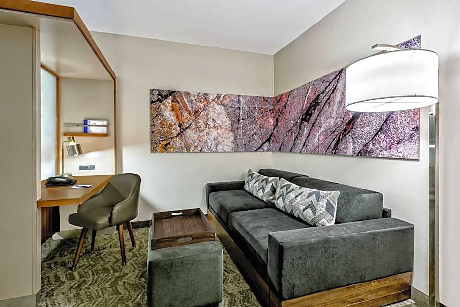 SpringHill Suites by Marriott San Antonio SeaWorld/Lackland