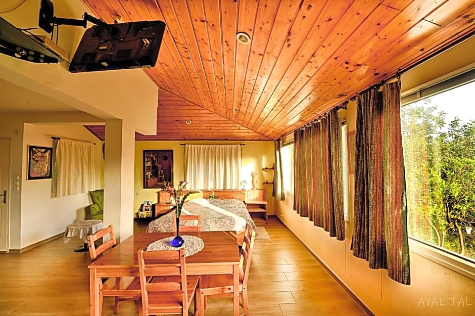 Bloom's Studio הסטודיו של בלום