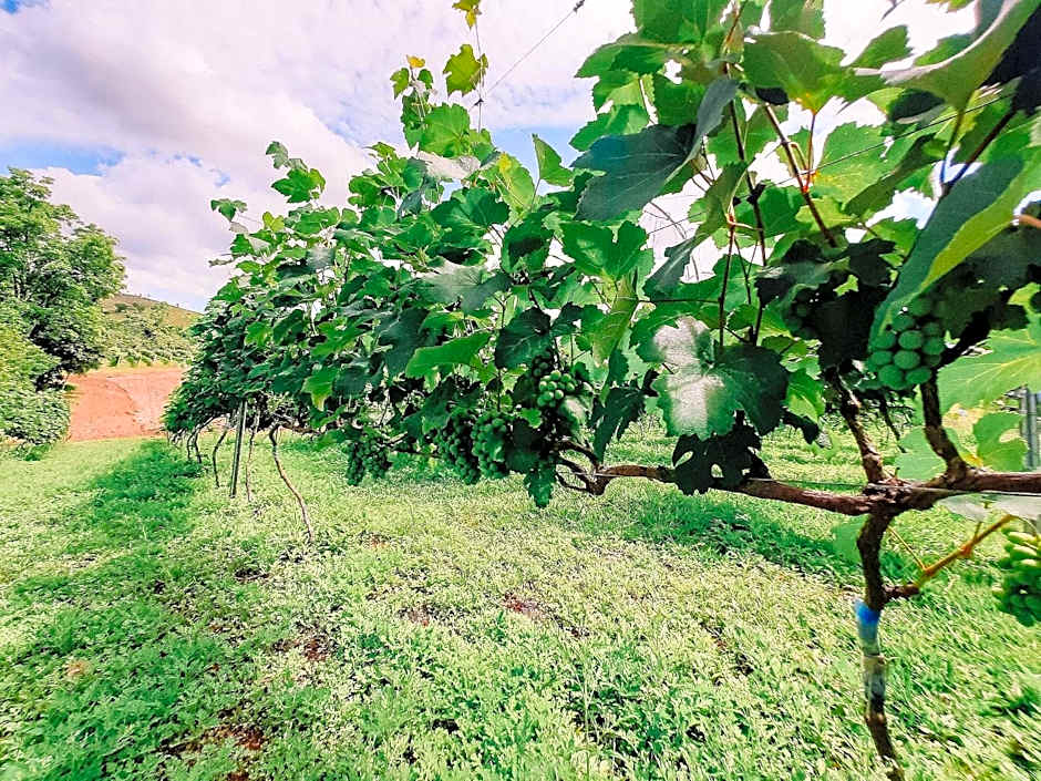 Espaço camping - Barraca 1