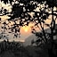 ReMo Treehouse Hostel