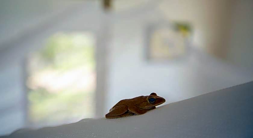 Champa Lodge