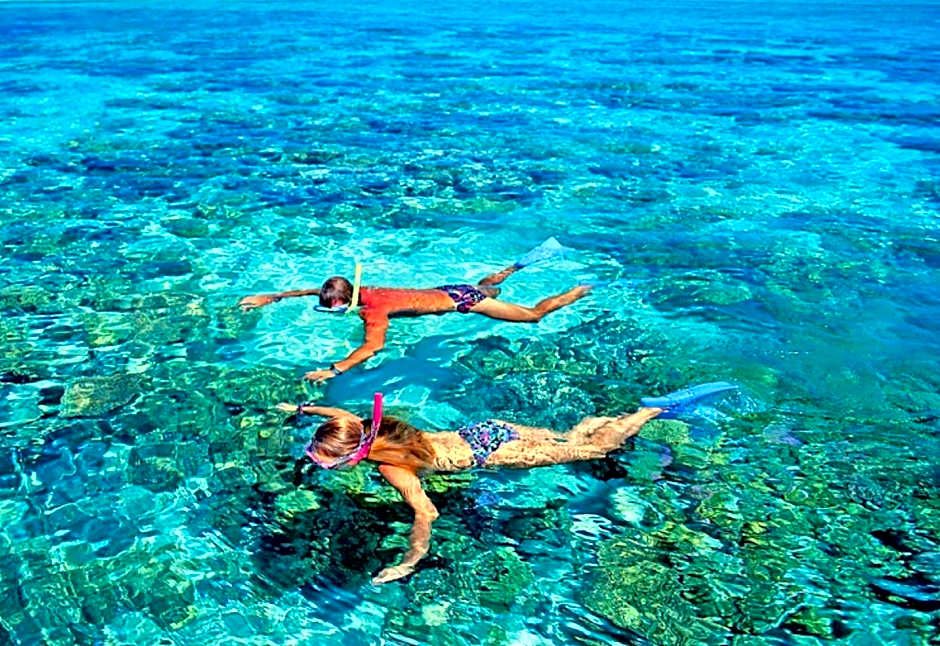 DAYA Beach, Lipe local