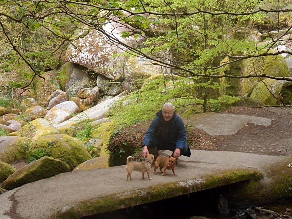 Riverside Bed and Breakfast