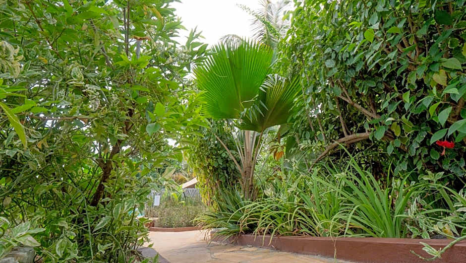 Nyumbani Residence Suites