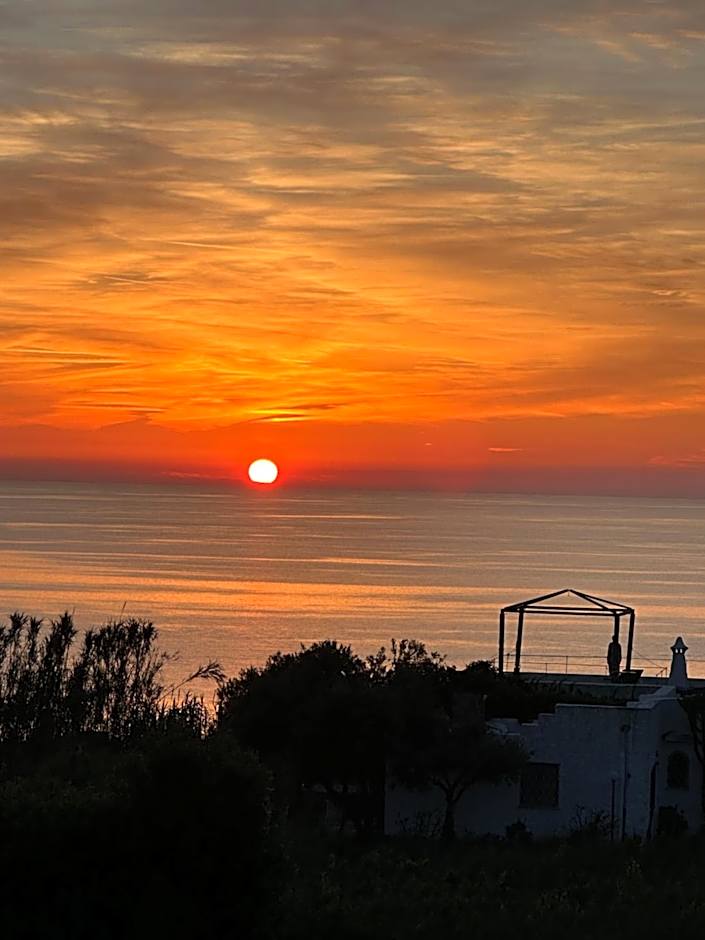 Hotel Boutique Ideal