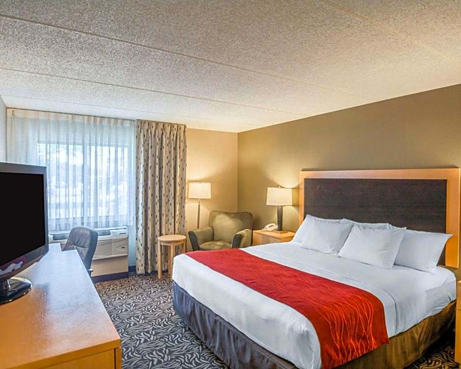 Comfort Inn Fairgrounds