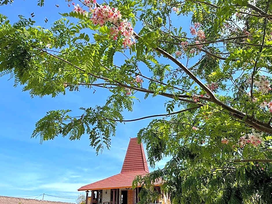 Rumah Budaya Sumba