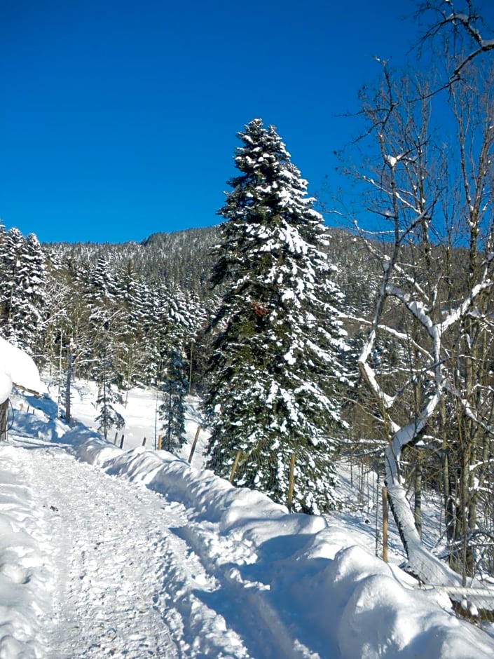 Gite IM-BERG