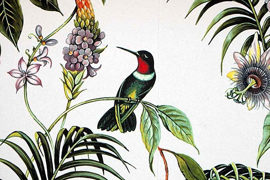 Kings Inn City Hotel Alkmaar