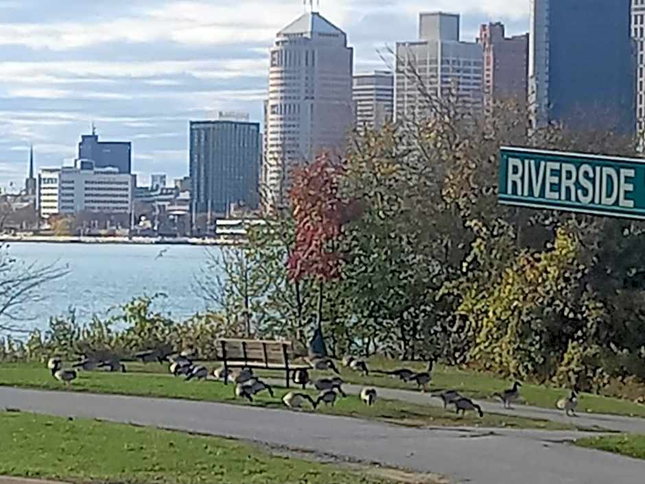 Waterfront Home Windsor ,On, Ca