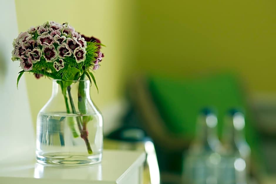 The Manor at Sway – Hotel, Restaurant and Gardens