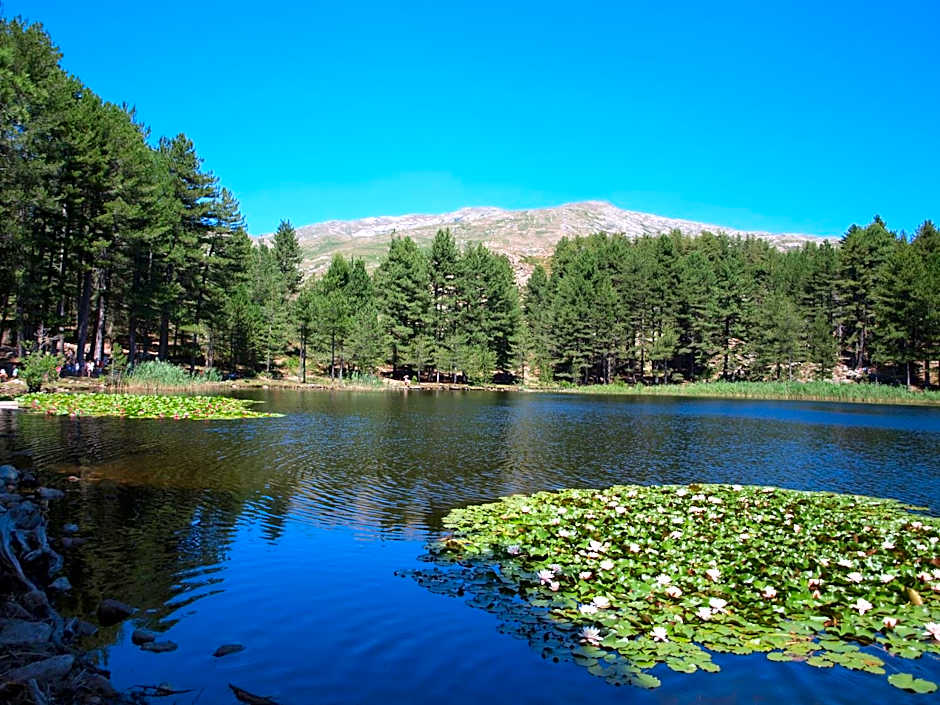 Auberge - Hotel U Paradisu