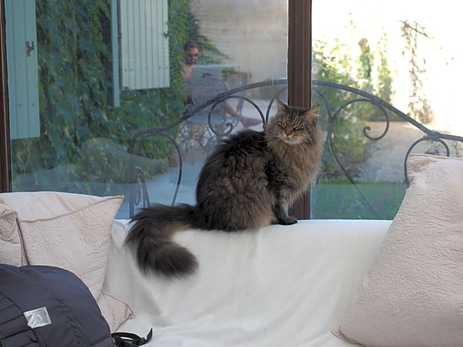 B&B Le Chat Sur Le Toit – Lourmarin, UT