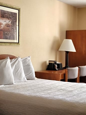 Luxury Inn & Suites