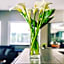 Mediterraneo Hotel & Suites