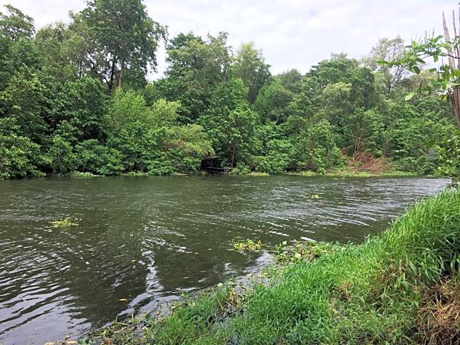 Pousada & Food 3 Abelhas