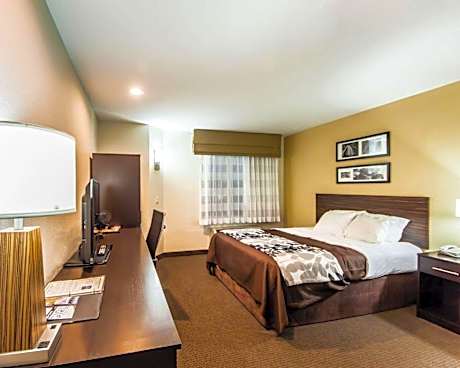 1 Queen Bed Nonsmoking Accessible