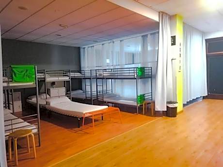 Bunk Bed in Mixed Dormitory Room