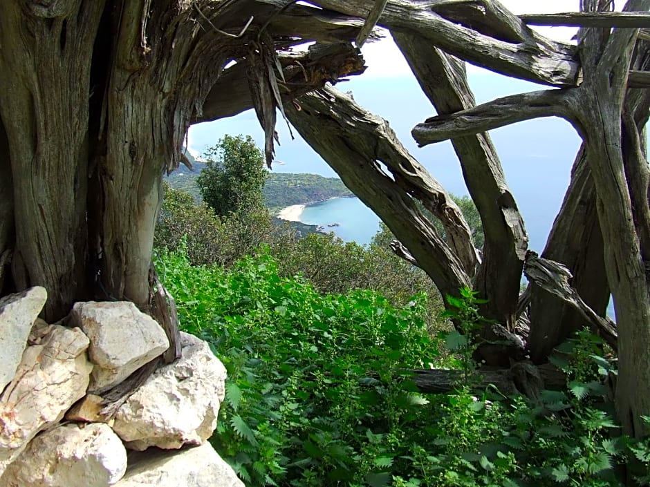 B&B Sa Madalena a Dorgali-IUN E4918