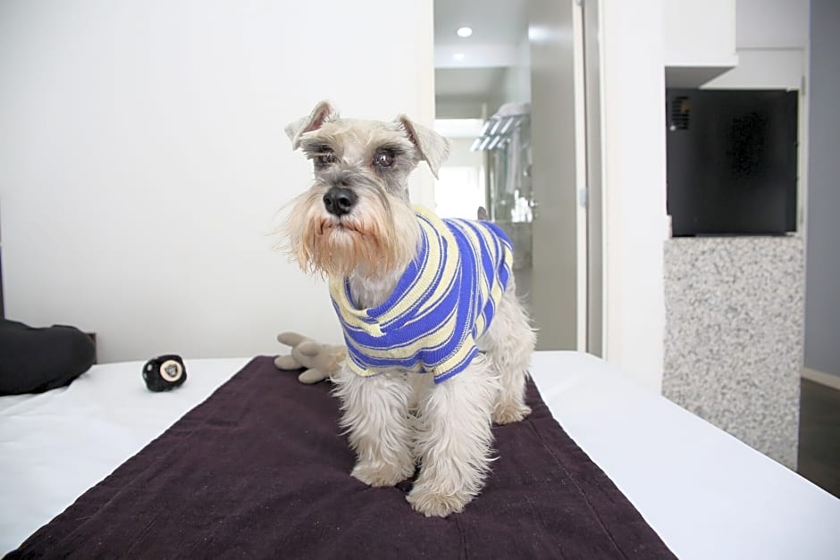 San Diego Suítes Pampulha