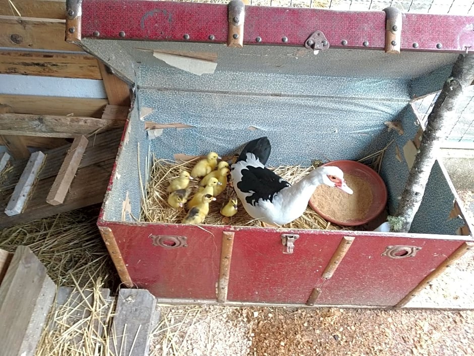Lago da Garça Guesthouse