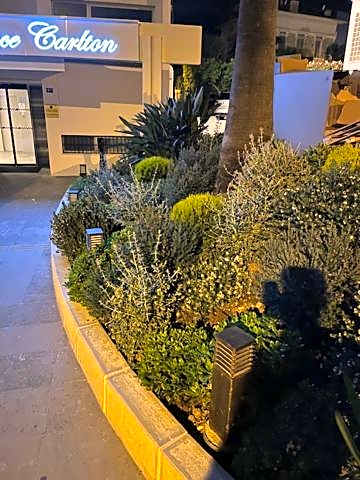 Résidence Carlton - Entièrement rénové