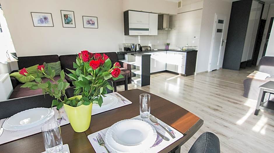 Apartamenty Izerskie - ul. Cicha 13D-E