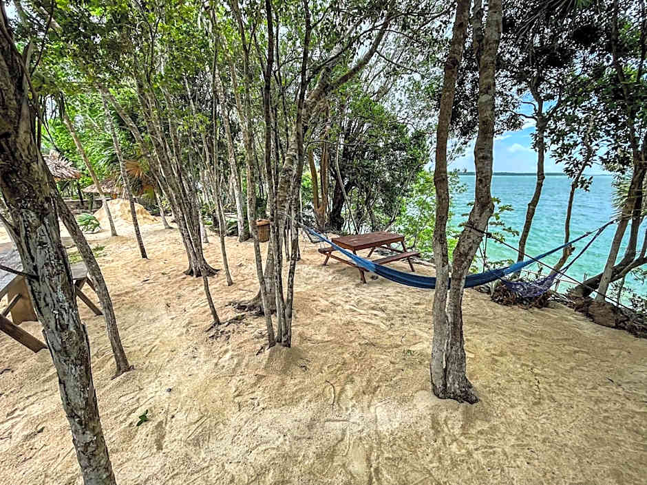 Bufo Alvarius Sanctuary Bacalar