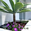 Urban Spaces Ibiza