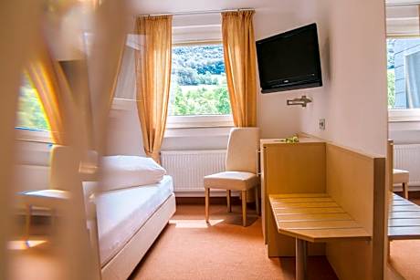 Standard Single Room with Mountain View