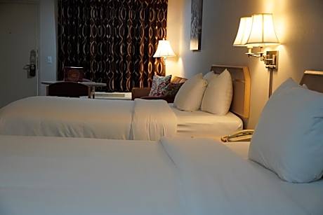 Deluxe Double Room with Extra Bed