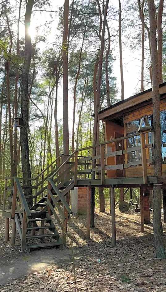 Domek na Drzewie!