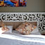 Adana City Boutique Hotel