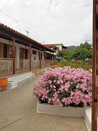 Asimina's House