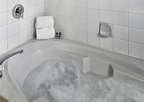 Queen One Bedroom Jacuzzi Suite