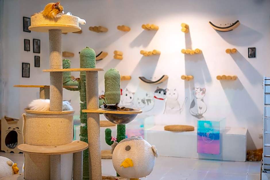 Patong Beach Side Hotel