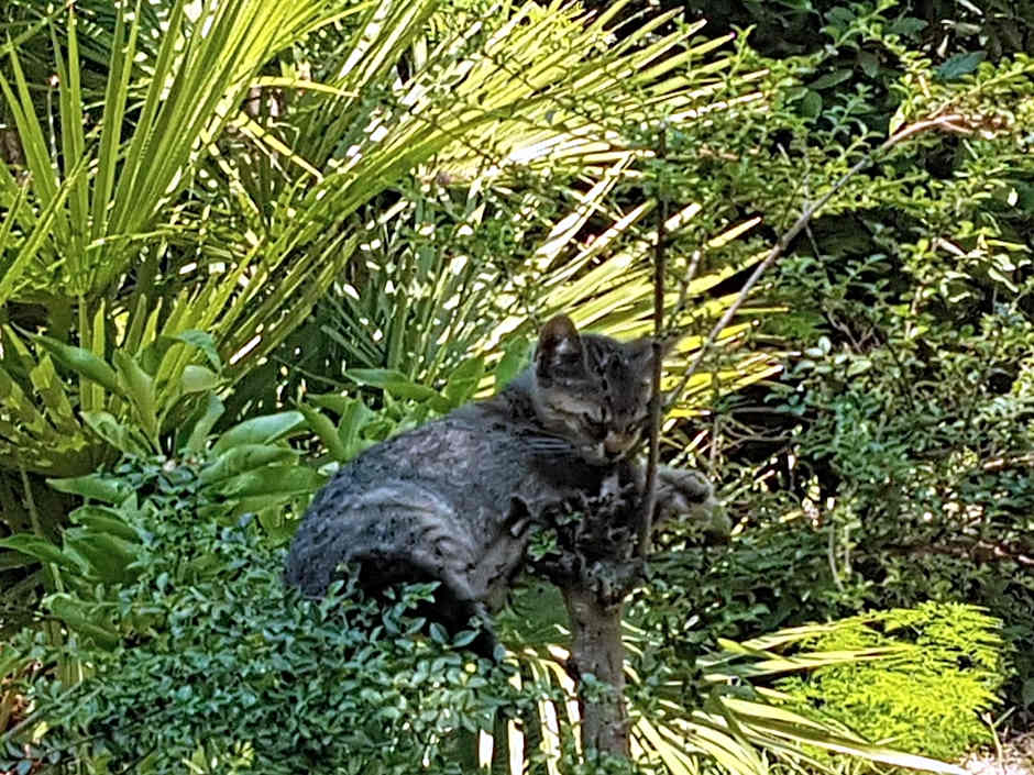 Il Giardino Di Vico Neve
