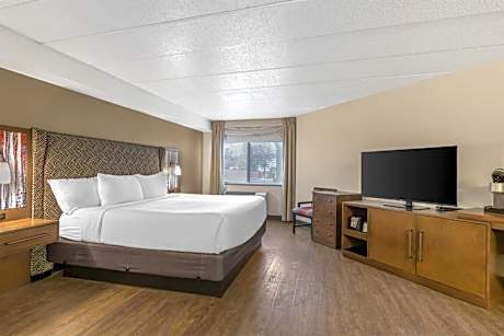 King Room with Sofa Bed