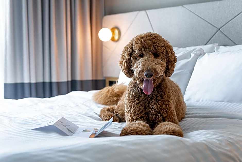 Residence Inn by Marriott Slough