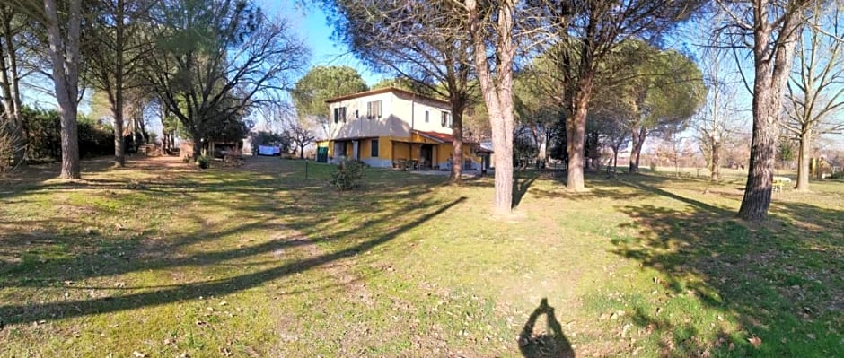 Campo alle Monache
