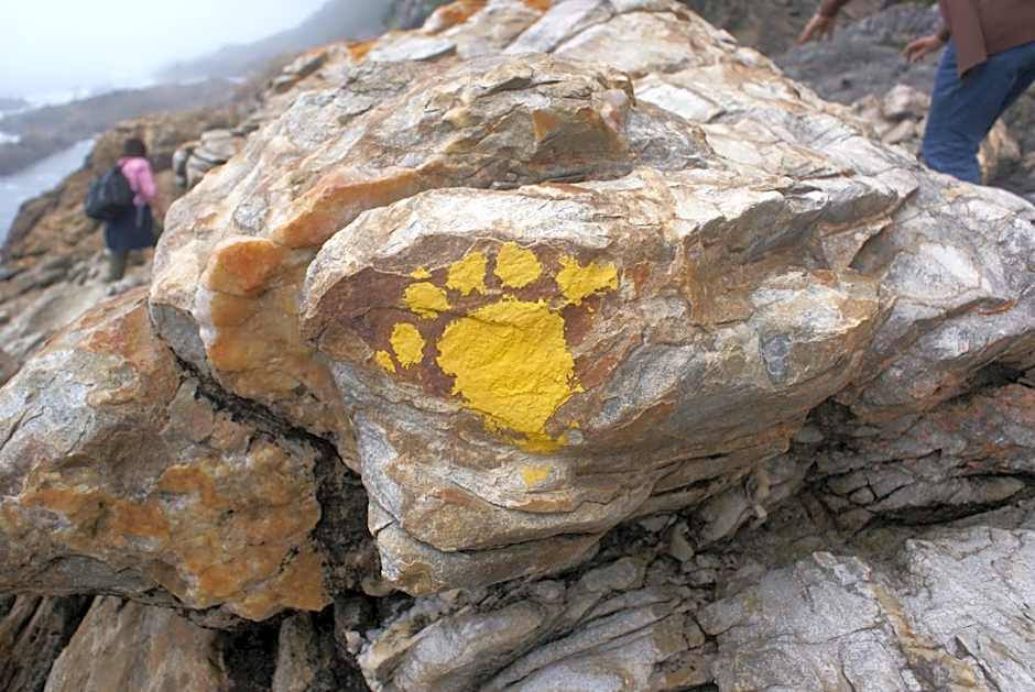 Storms River Guest Lodge