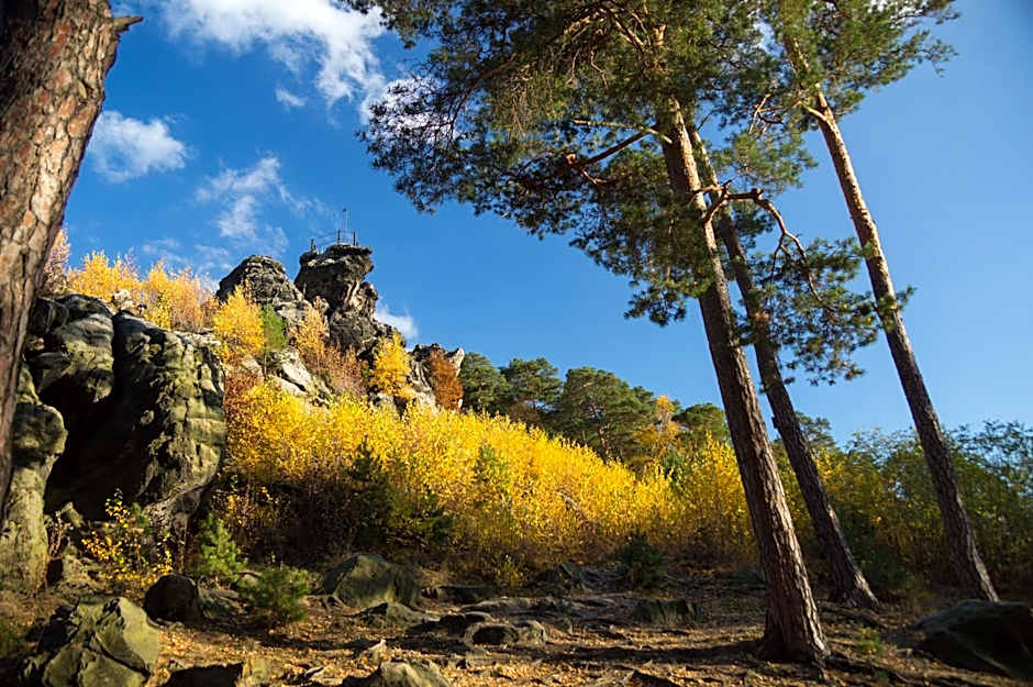 Hotel Villa Viktoria Luise