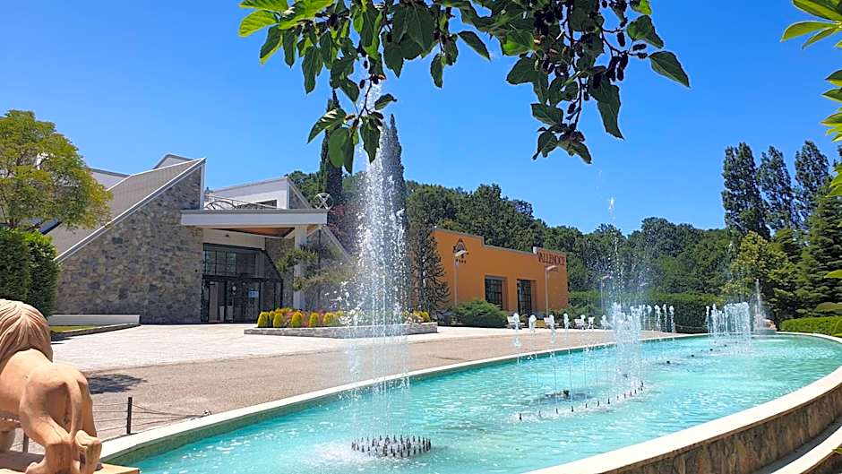 Palahotel Vallenoce